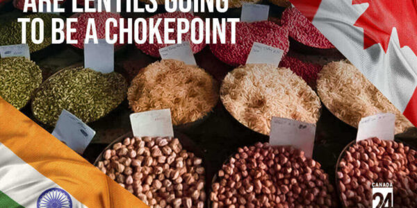 Are lentils going to be a chokepoint amid diplomatic tension between India and Canada